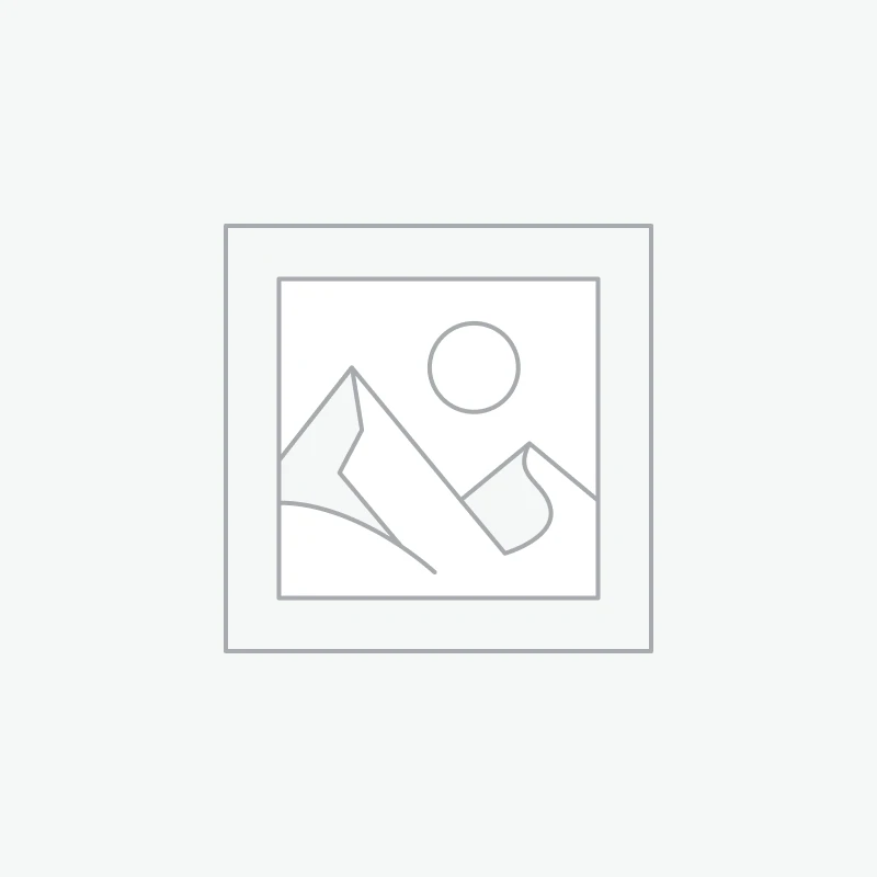 Abs Company 10 lb Weight Plate