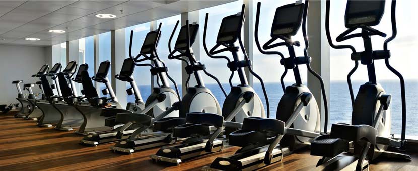 Commercial Ellipticals
