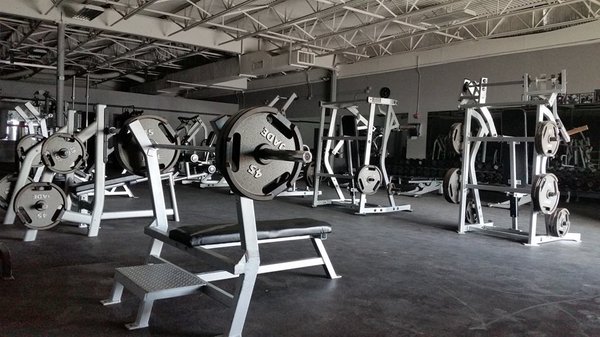 Free Weights & Dumbbells