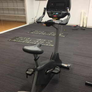 Cybex 750C Upright Bike