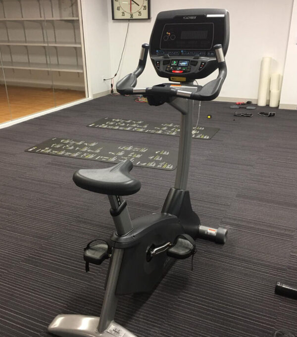 Cybex 750C Upright Bike