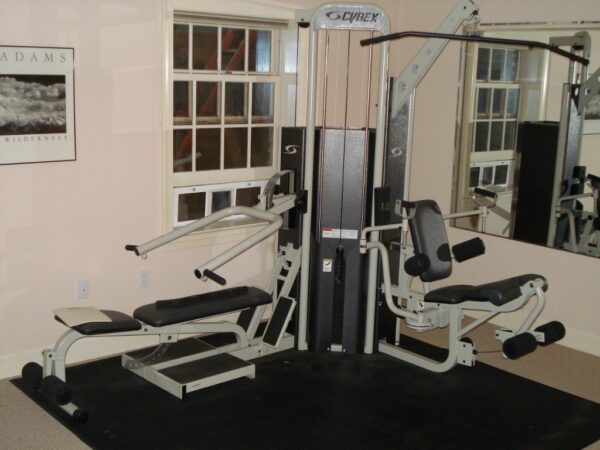 Cybex PG400 Multi Gym