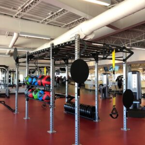 Dynamic Fitness Crossfit Rig