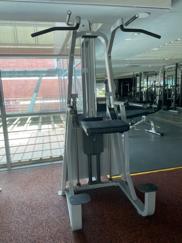 Icarian Assist Chin Dip