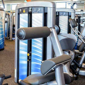 Life Fitness Insignia Back Extension