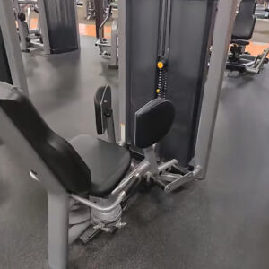 Life Fitness Insignia Hip Abductor