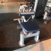 Life Fitness Signature Plate Loaded Seated Calf