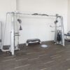 Precor Icarian Adjustable Cable Crossover