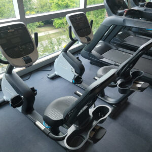 Precor RBK 835 Recumbent Bike