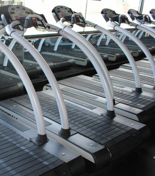 Woodway Desmo Evo Treadmill