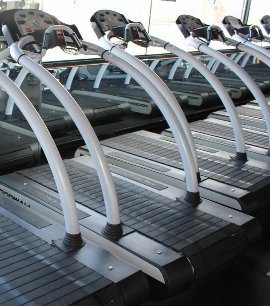 Woodway Desmo Evo Treadmill