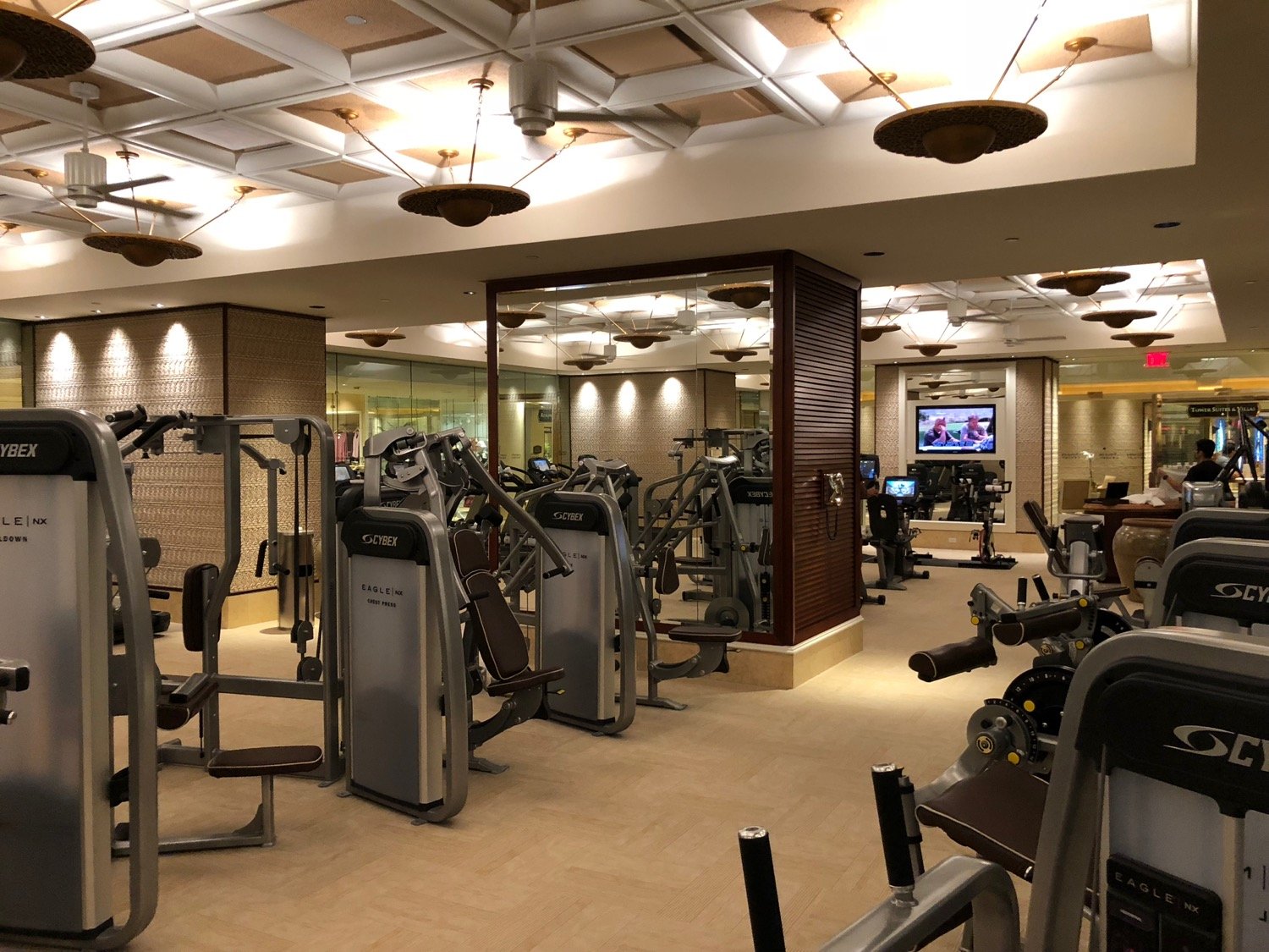 Luxury Hotel Gym Installation
