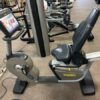 Technogym Excite 700 Recumbent Bike with VisionWeb.jpg