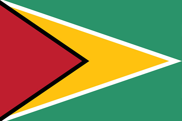 Guyana Flag