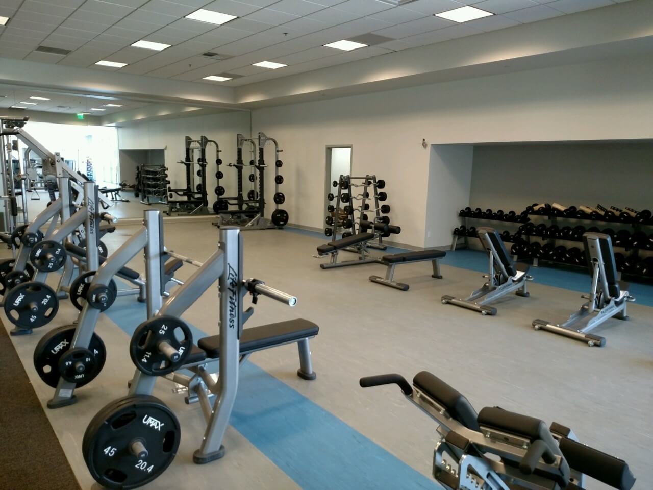 Free Weights & Racks