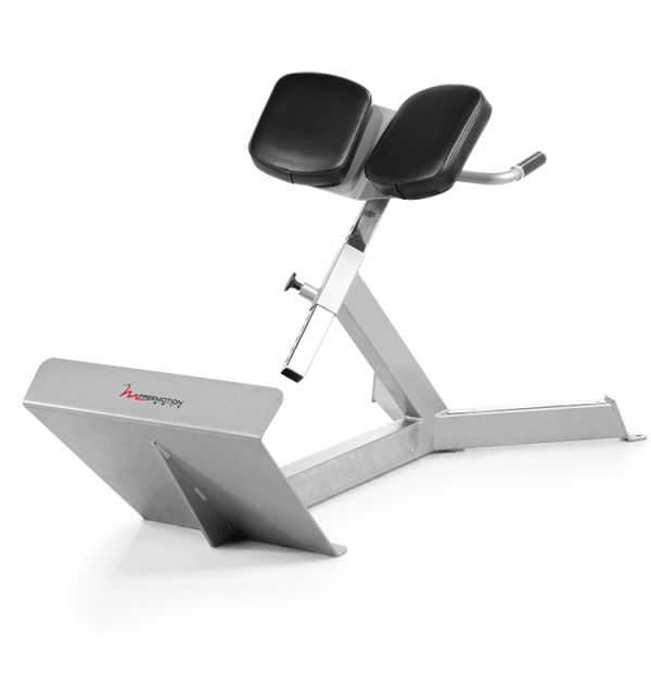 F206 40o Back Extension750px