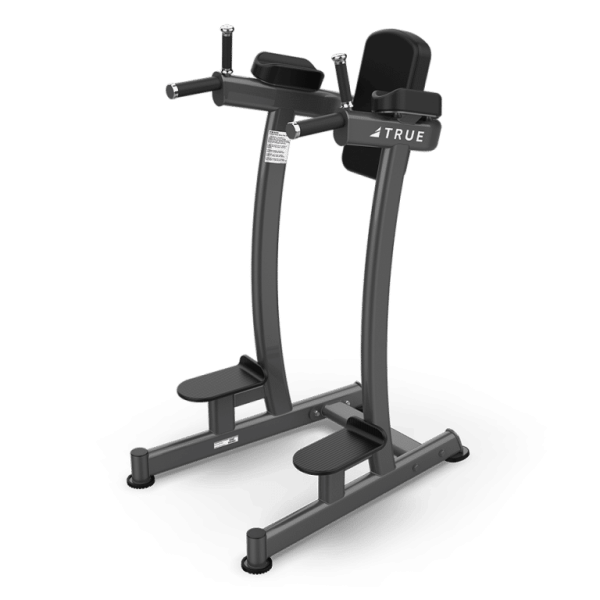 TRUE Fitness Paramount XFW 6400 Vertical Knee Raise Dip